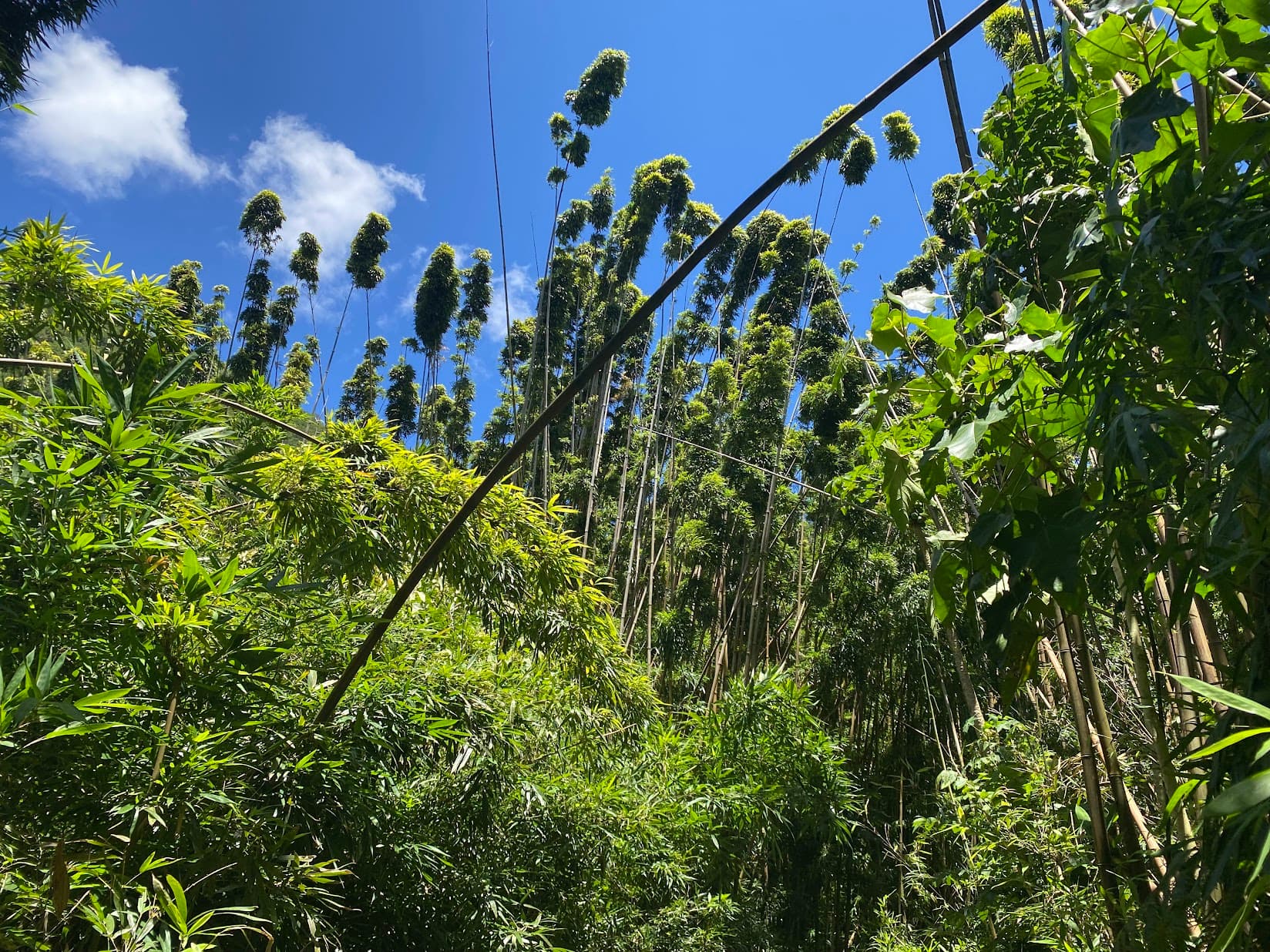 Maui, HI